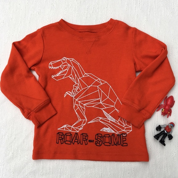 Wonderkids Other - HP 9/27 Wonderkids Dinosaur Long Sleeve Size 3T